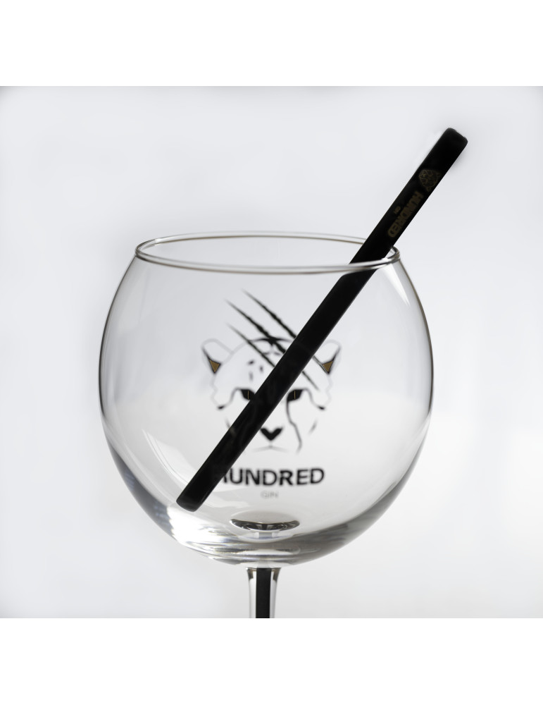Paille Inox Hundred Gin